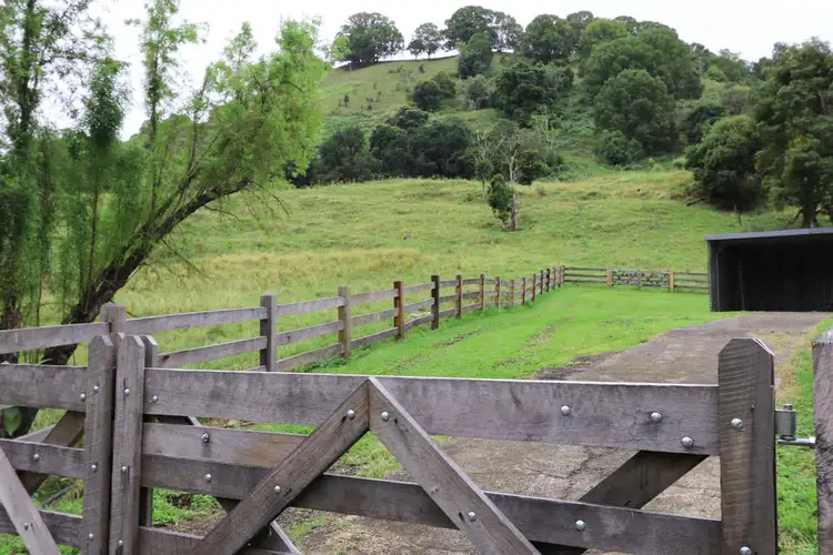 Fifth view of Homely house listing, 154 Tuntable Creek Road, The Channon NSW 2480