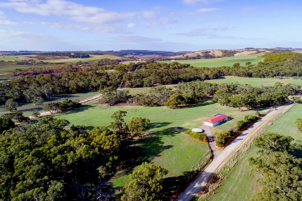 Main view of Homely rural property listing, 31 Mount Cone Road, Mount Compass SA 5210