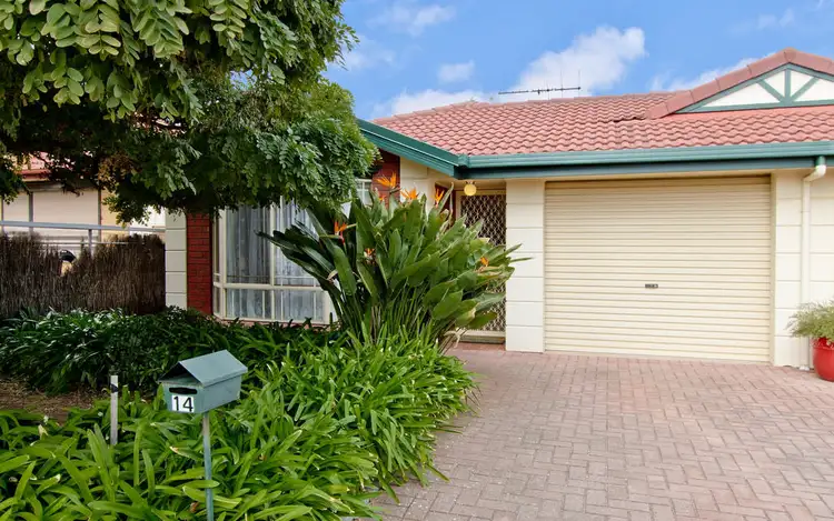 14 Allison Street, Ascot Park SA 5043
