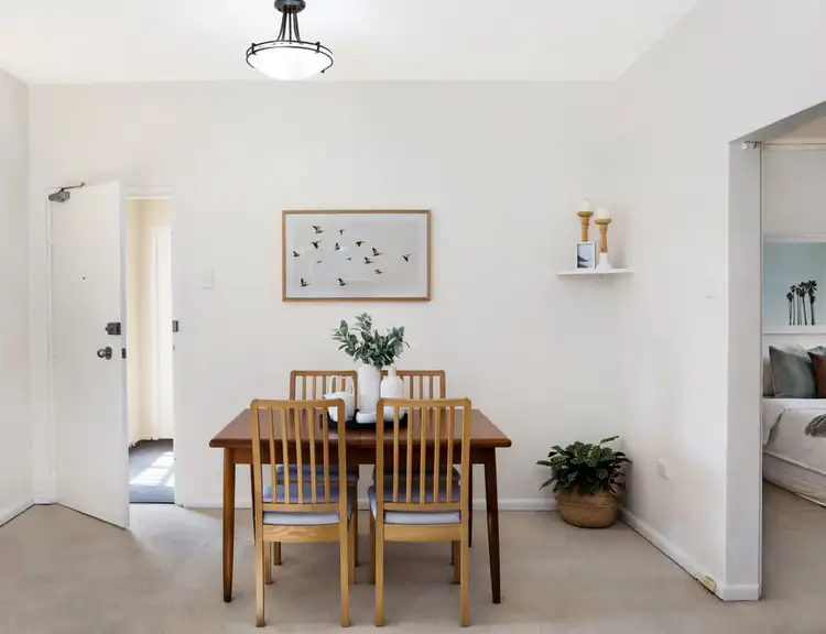 1/8 Albert Parade, Ashfield NSW 2131