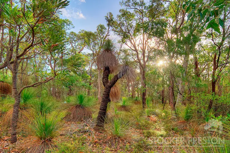 Fifth view of Homely land listing, Lot 27 Shallows Loop, Yallingup WA 6282