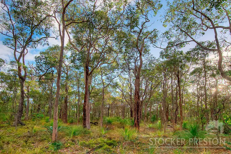 Sixth view of Homely land listing, Lot 27 Shallows Loop, Yallingup WA 6282