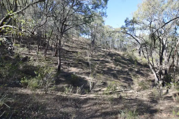 Sixth view of Homely rural property listing, Lot 2 224 Riverlea Road, Mudgee NSW 2850