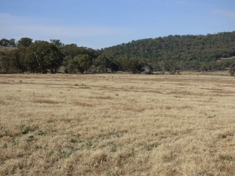 Seventh view of Homely rural property listing, 134 Wambanumba Drive, Young NSW 2594