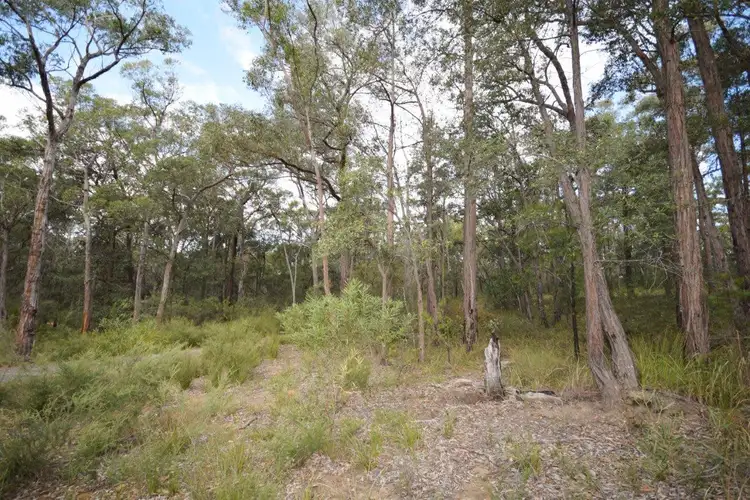 Third view of Homely land listing, 50A (Lot 12) Lilly Pilly Lane, Tapitallee NSW 2540
