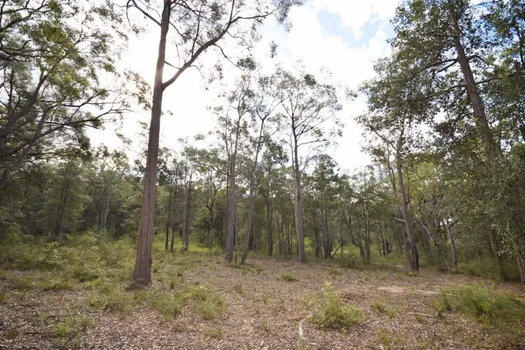 Seventh view of Homely land listing, 50A (Lot 12) Lilly Pilly Lane, Tapitallee NSW 2540