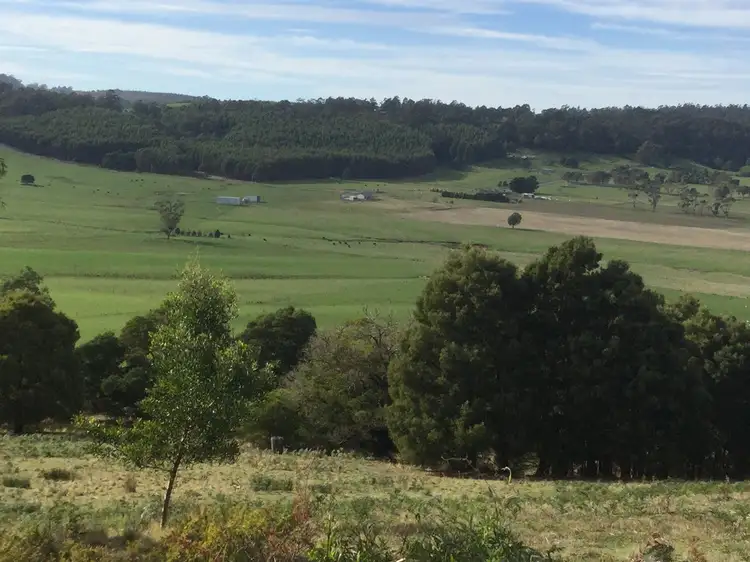 Main view of Homely house listing, 404 Gundagai Road, Tunnel TAS 7254