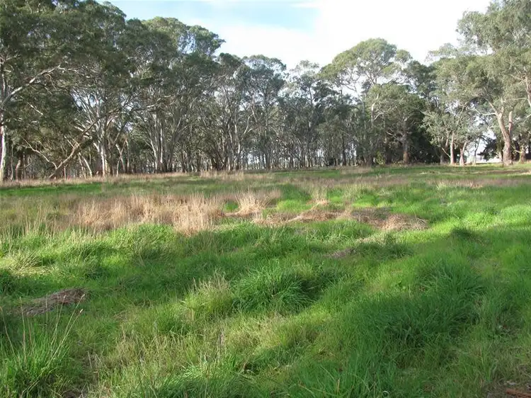 LOT 62 - 66 WIMMERA HIGHWAY, Hynam SA 5262