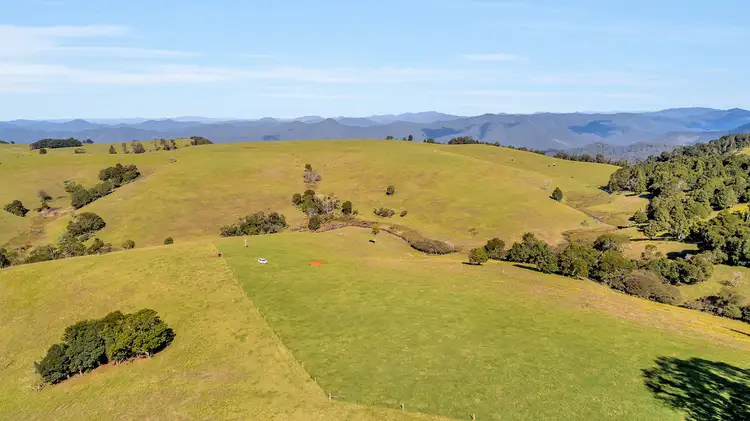 Seventh view of Homely rural property listing, 5265 WATERFALL WAY, Dorrigo NSW 2453