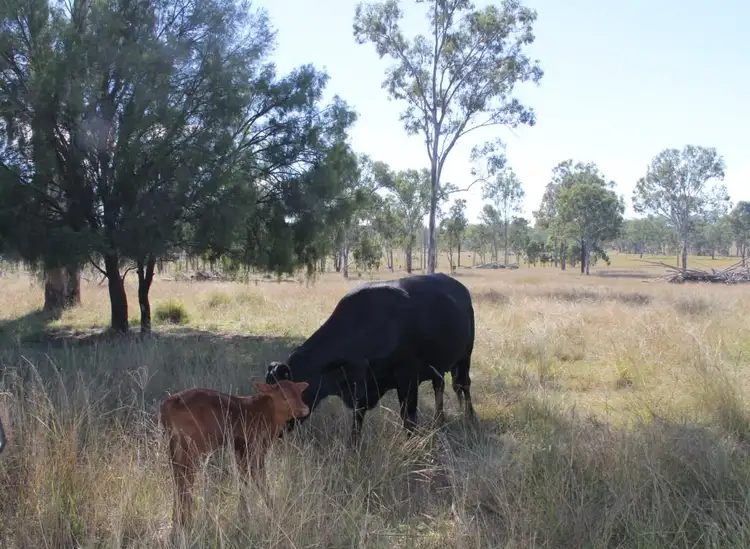 Second view of Homely rural property listing, Lot 50 Mount Hope Road, Kingaroy QLD 4610