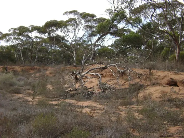 Main view of Homely land listing, Lot 45 Old Whyalla Road, Cowell SA 5602
