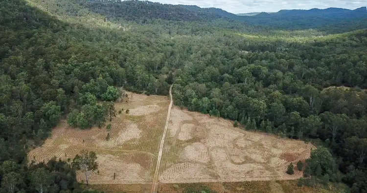 Lot 213 Clearview Road, Blaxlands Creek NSW 2460
