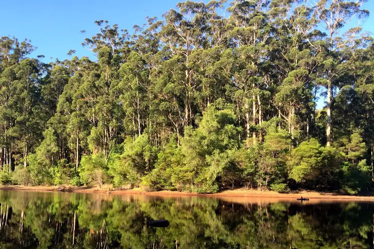 Second view of Homely land listing, Lot 46 KARRI LANE, Quinninup WA 6258