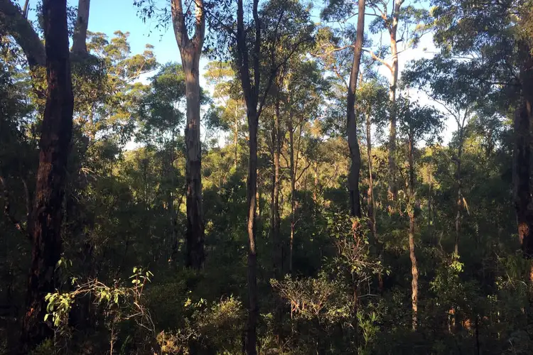 Fourth view of Homely land listing, Lot 46 KARRI LANE, Quinninup WA 6258