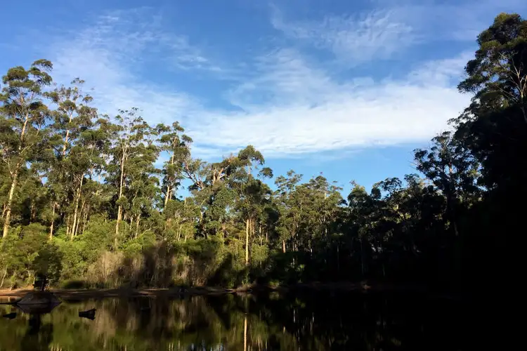 Fifth view of Homely land listing, Lot 46 KARRI LANE, Quinninup WA 6258
