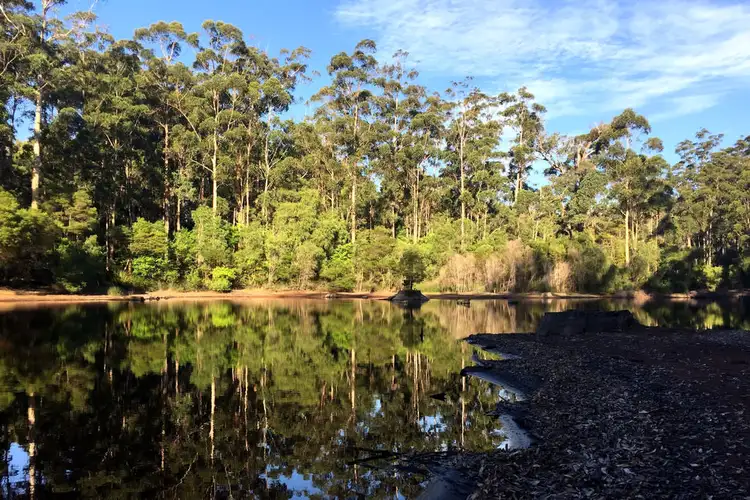 Sixth view of Homely land listing, Lot 46 KARRI LANE, Quinninup WA 6258