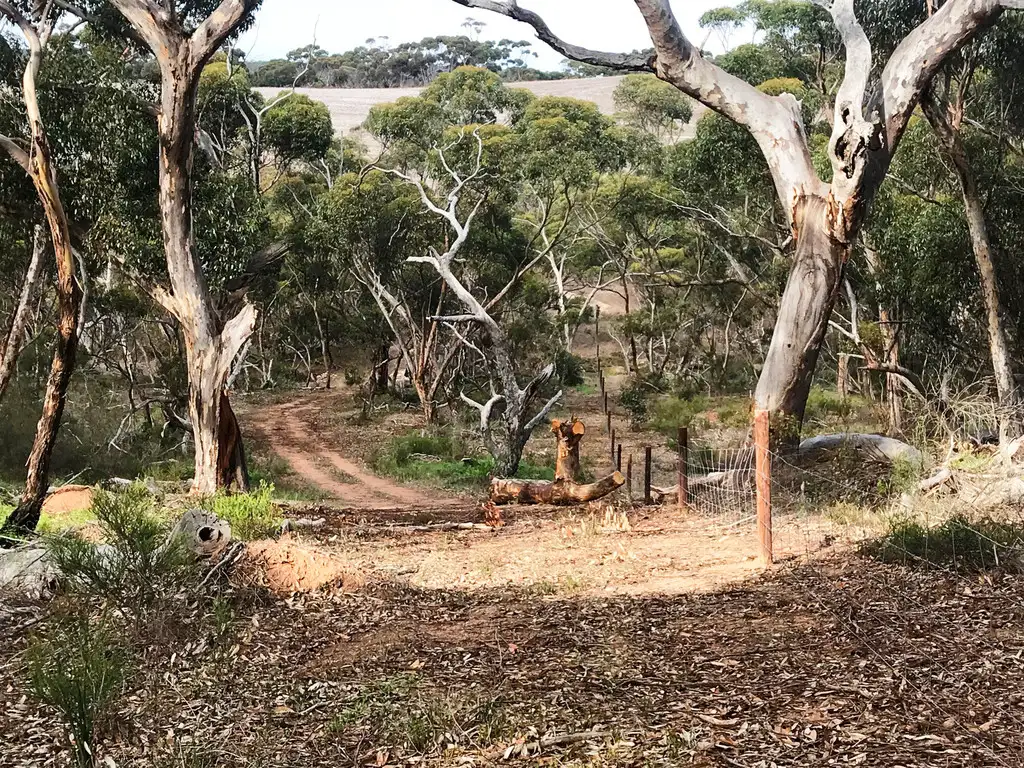 Main view of Homely rural property listing, Allotment 101 Hundred of Stokes, Tumby Bay SA 5605