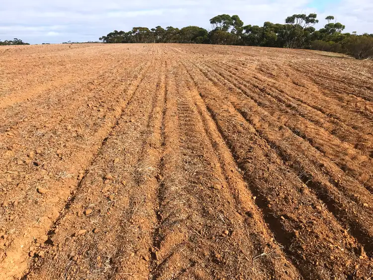 Second view of Homely rural property listing, Allotment 101 Hundred of Stokes, Tumby Bay SA 5605