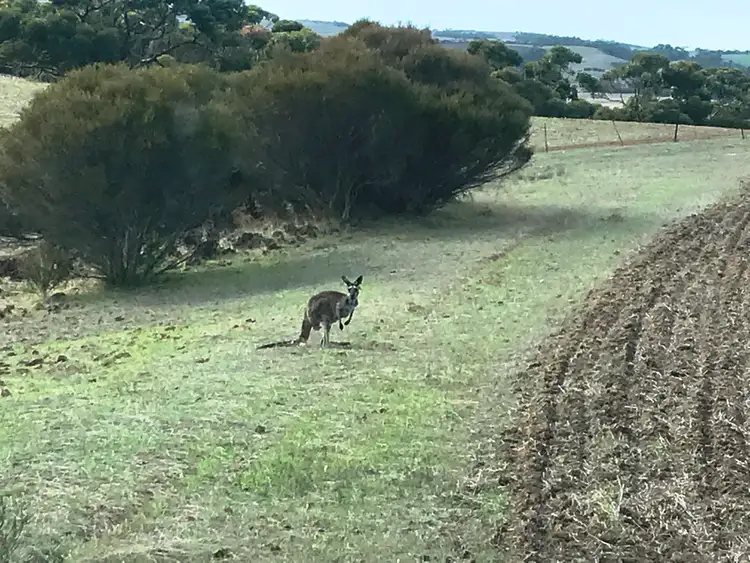 Sixth view of Homely rural property listing, Allotment 101 Hundred of Stokes, Tumby Bay SA 5605