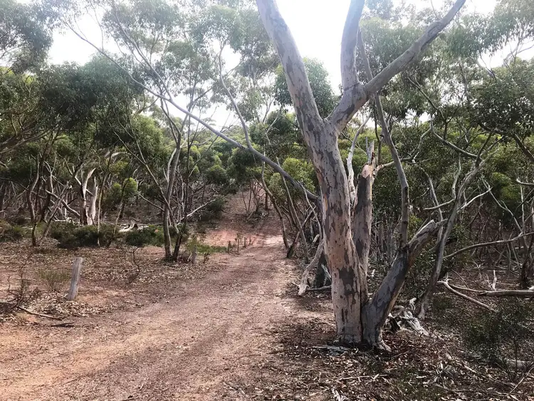 Seventh view of Homely rural property listing, Allotment 101 Hundred of Stokes, Tumby Bay SA 5605