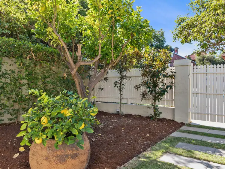 Third view of Homely house listing, 3 Barlee Street, Mount Lawley WA 6050