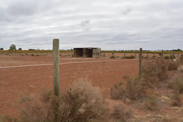 Third view of Homely rural property listing, 221 COWANNA AVENUE, Merbein South VIC 3505