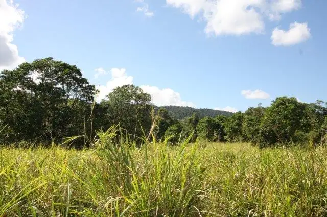 Seventh view of Homely land listing, LOT 5 Beatrice Road (Stewart Creek Valley), Daintree QLD 4873
