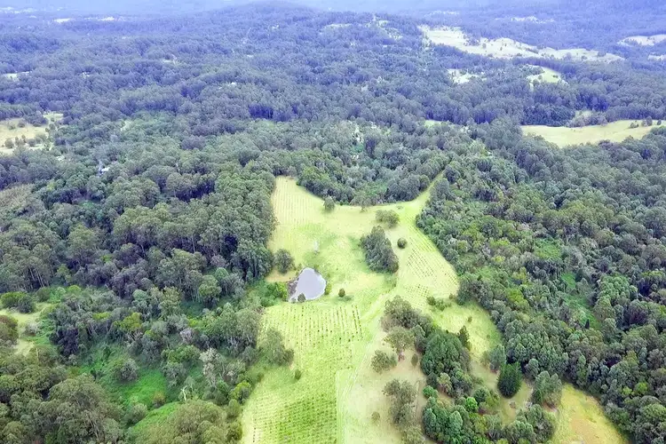 Third view of Homely rural property listing, 839 Blue Knob Road, Blue Knob NSW 2480