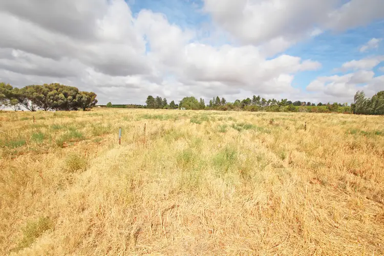 Lot  51 Government Road, Renmark SA 5341