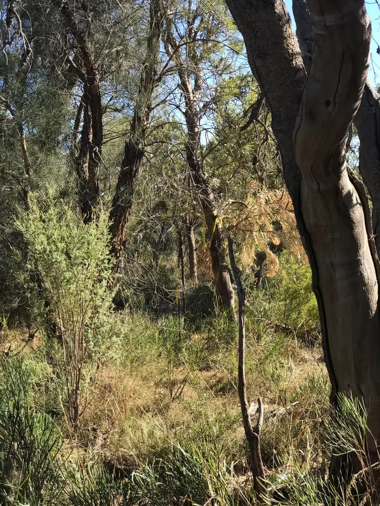 Sixth view of Homely house listing, 115a Tuart Rd, Oakford WA 6121