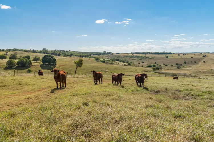 Second view of Homely rural property listing, 286 Huxley Road, North Isis QLD 4660