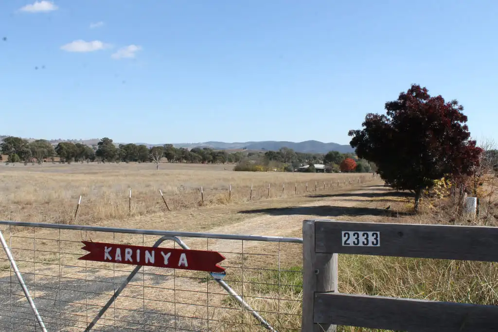Main view of Homely rural property listing, 2333 CASTLEREAGH HIGHWAY, Gulgong NSW 2852