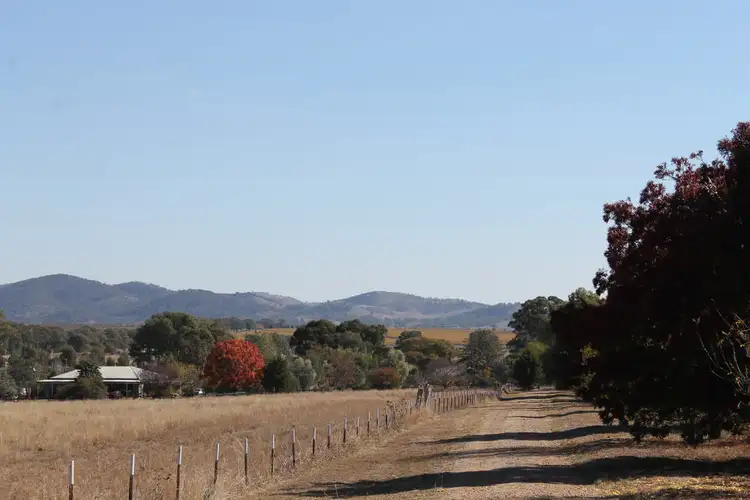 Second view of Homely rural property listing, 2333 CASTLEREAGH HIGHWAY, Gulgong NSW 2852