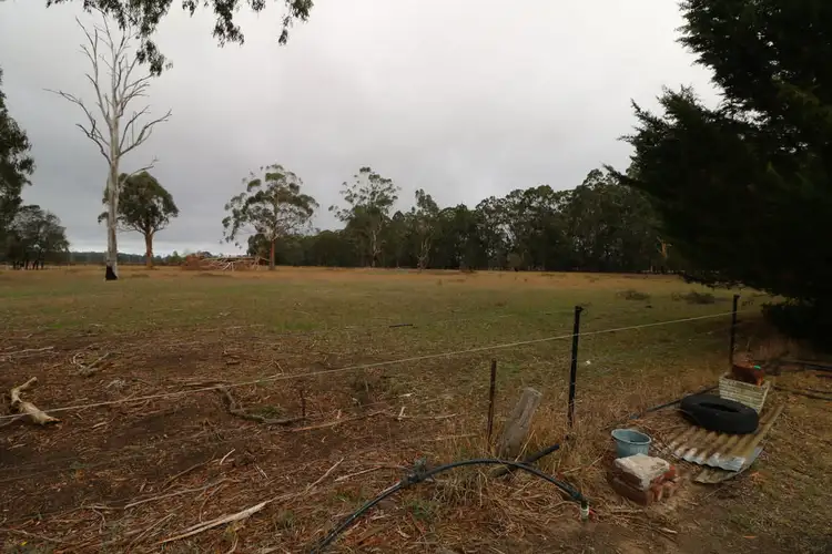 Second view of Homely rural property listing, 402 Monaro Highway, Noorinbee VIC 3890