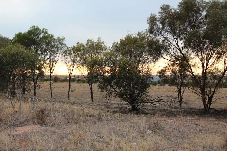 14 (Lot 813) Hewett St, Wongan Hills WA 6603