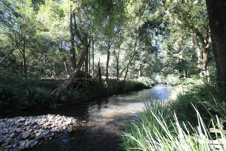 Main view of Homely rural property listing, 444 Upper Rollands Plains Road, Upper Rollands Plains NSW 2441