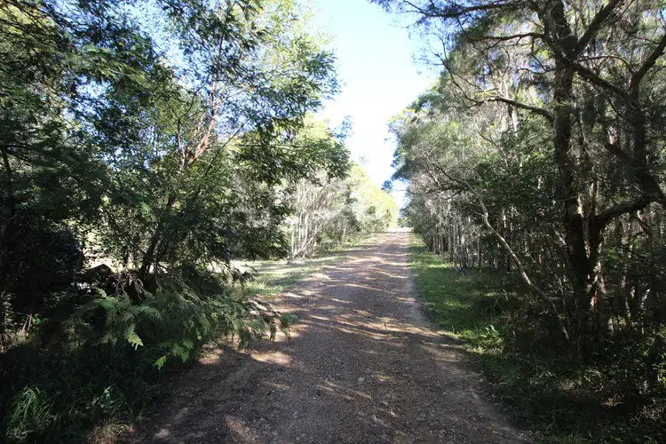 Second view of Homely rural property listing, 444 Upper Rollands Plains Road, Upper Rollands Plains NSW 2441