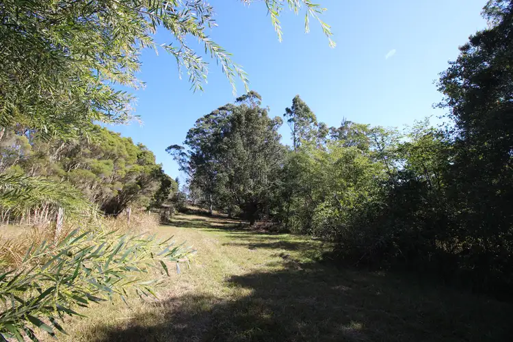 Third view of Homely rural property listing, 444 Upper Rollands Plains Road, Upper Rollands Plains NSW 2441