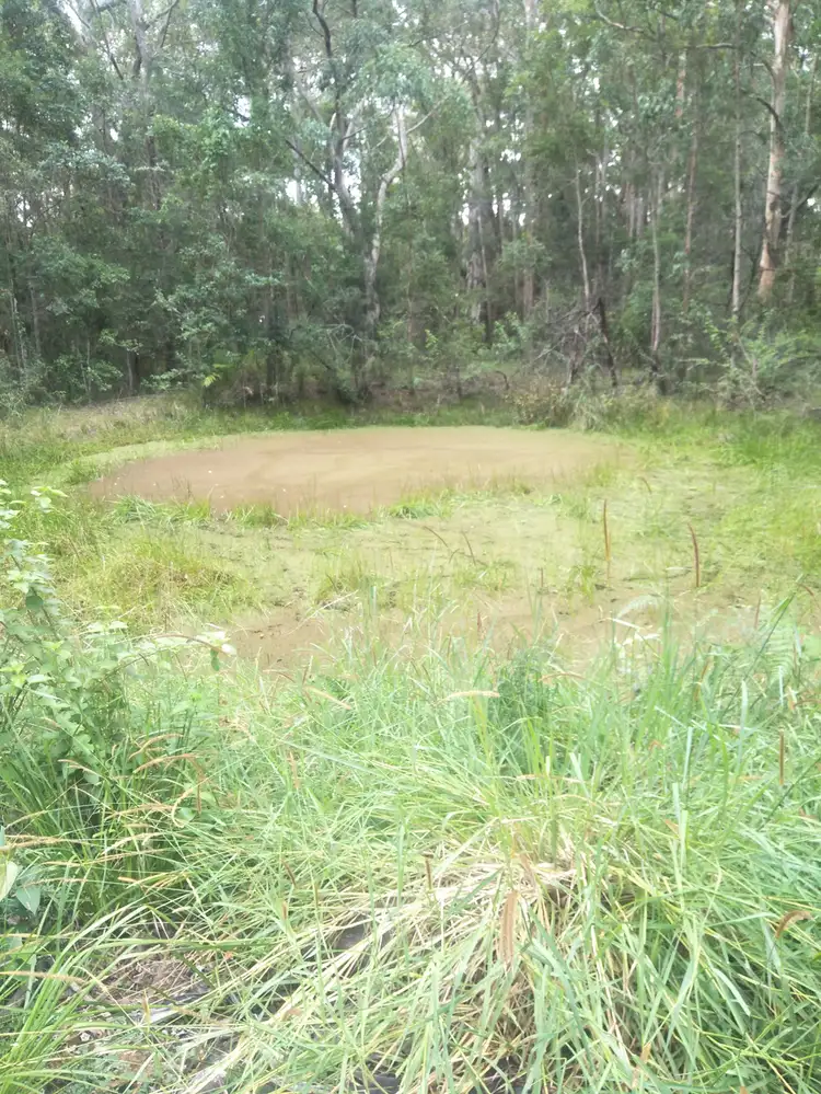 Second view of Homely rural property listing, Lot 207 Old Coach Road, Kendall NSW 2439