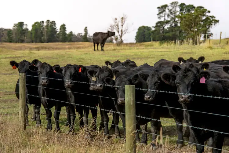 Third view of Homely rural property listing, 1131 Reservoir Road, Munro VIC 3862