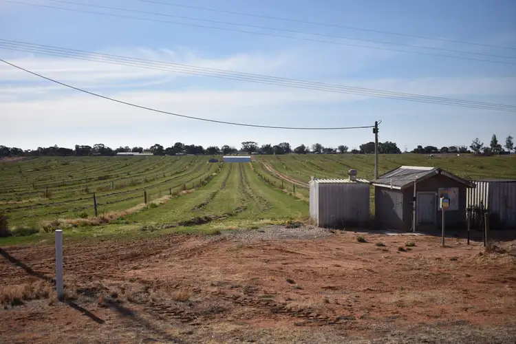 Lot 10 & 500 Gratwick Road, Loxton SA 5333
