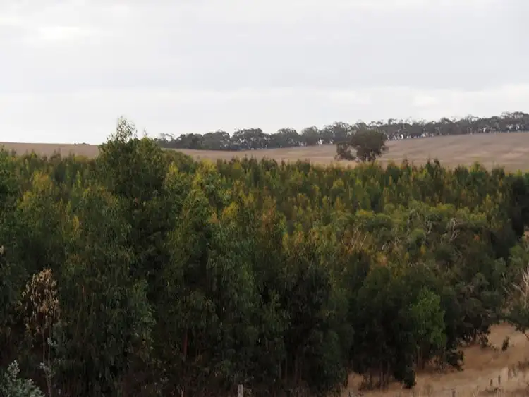 Third view of Homely rural property listing, - Moreton Hill Road, Skipton VIC 3361