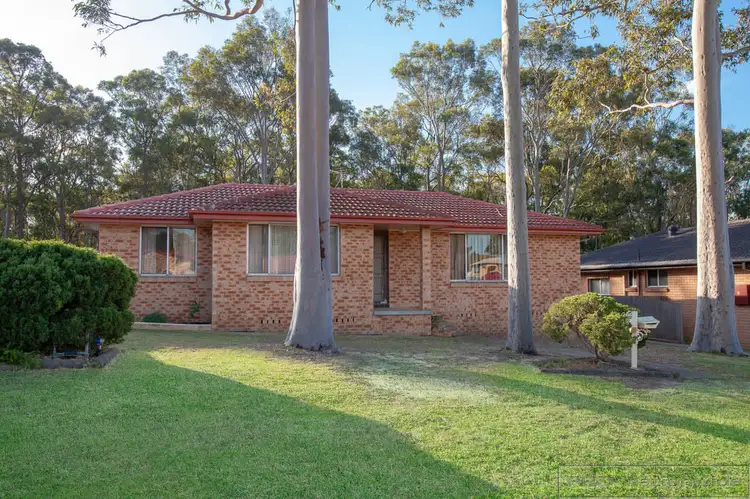 50 John Arthur Avenue, Thornton NSW 2322