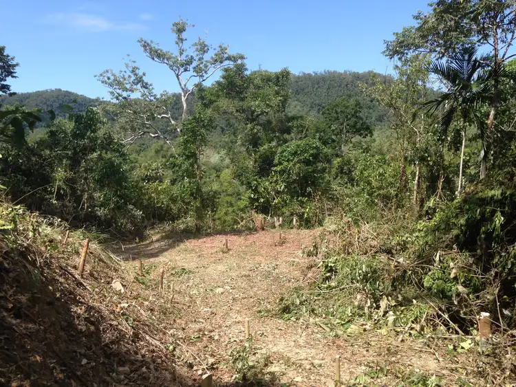 Fifth view of Homely rural property listing, 3326 Bloomfield Road, Bloomfield QLD 4895