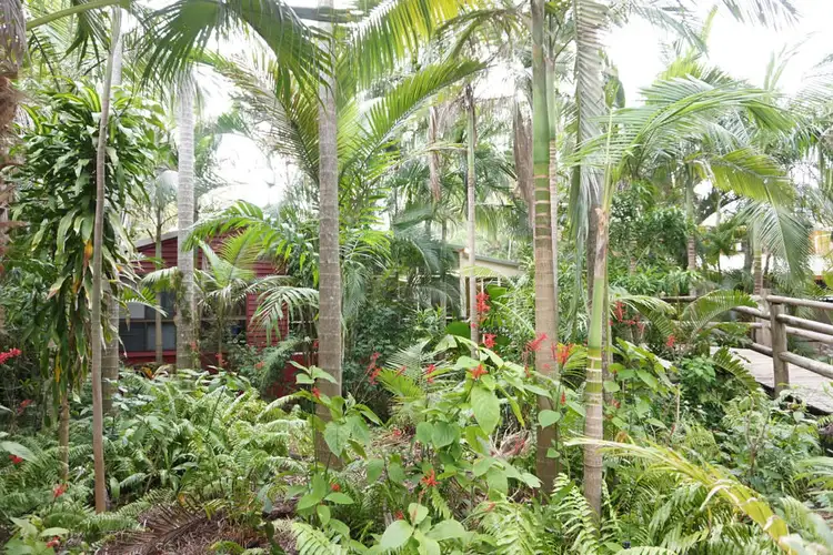 96 Waverley St, Bucasia QLD 4750