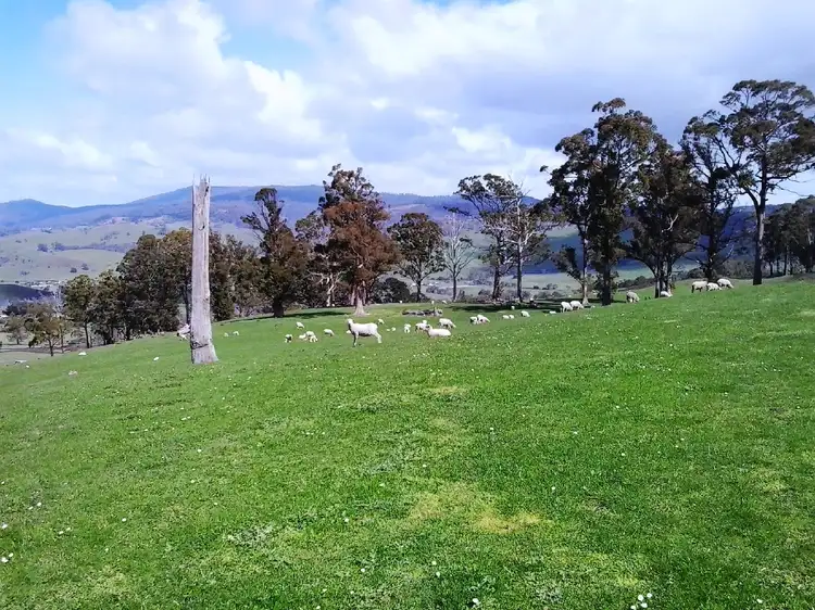 Main view of Homely land listing, Lot 2, 313 Rhyndaston Road, Rhyndaston TAS 7120