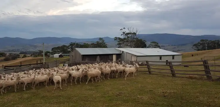 Fifth view of Homely land listing, Lot 2, 313 Rhyndaston Road, Rhyndaston TAS 7120