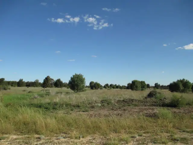 LOT 80 SURAT DEVELOP ROAD, Tara QLD 4421
