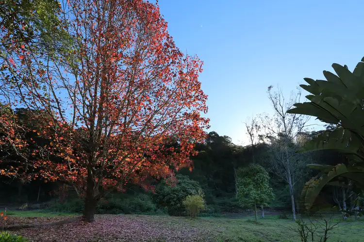 Third view of Homely house listing, Lot 35 Buchanans Road, Nimbin NSW 2480