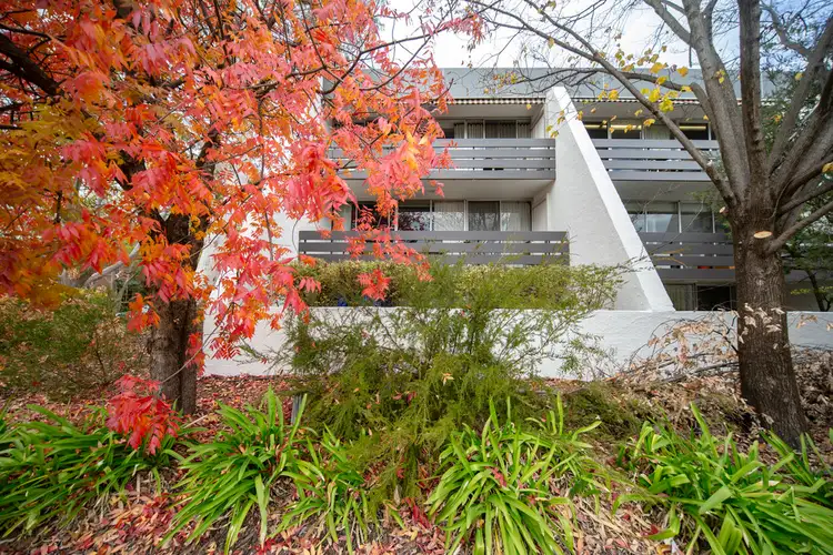 35/8 Giles Street, Griffith ACT 2603